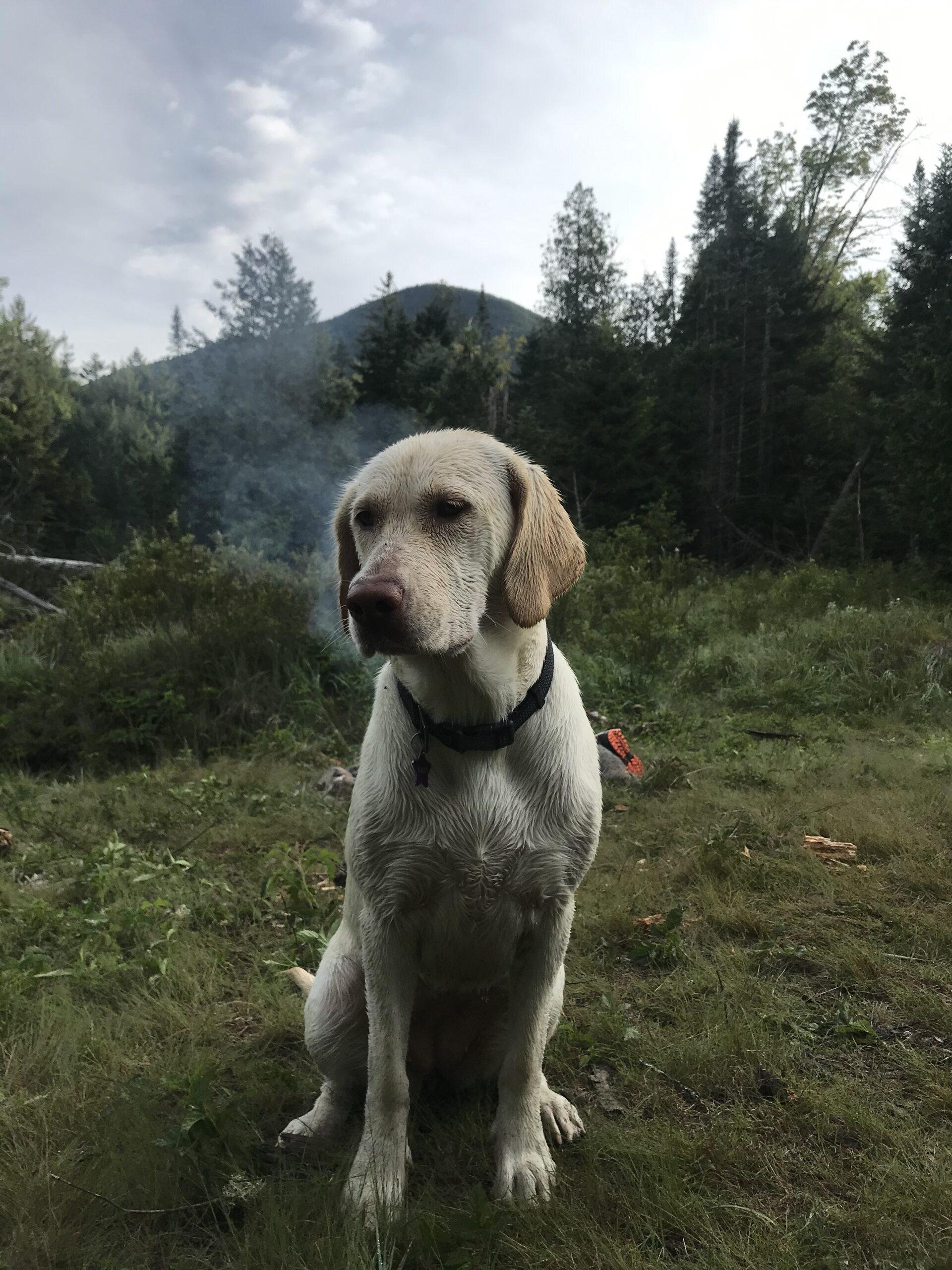 First Hike Basics