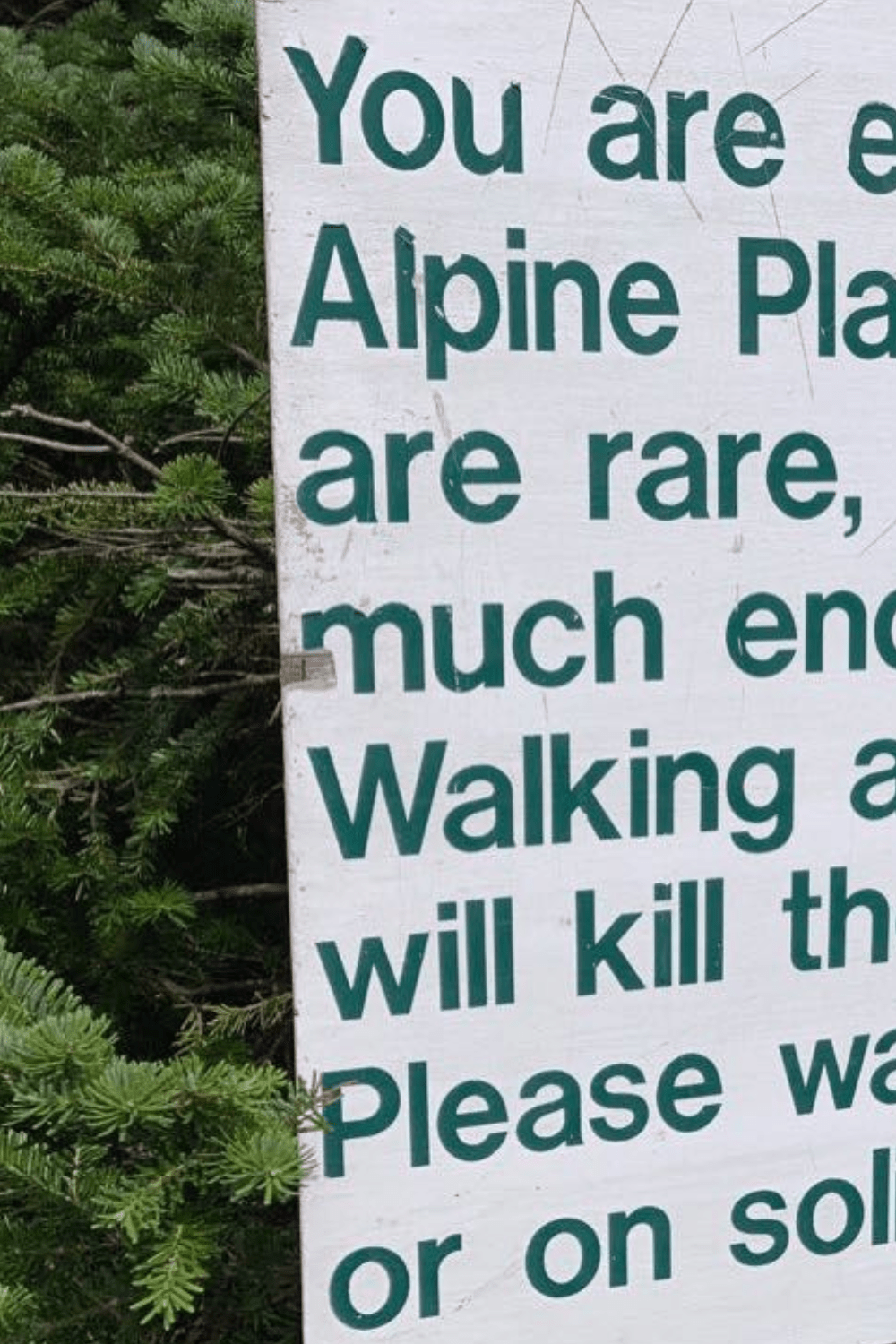 13 Adirondacks Facts You Didn’t Know