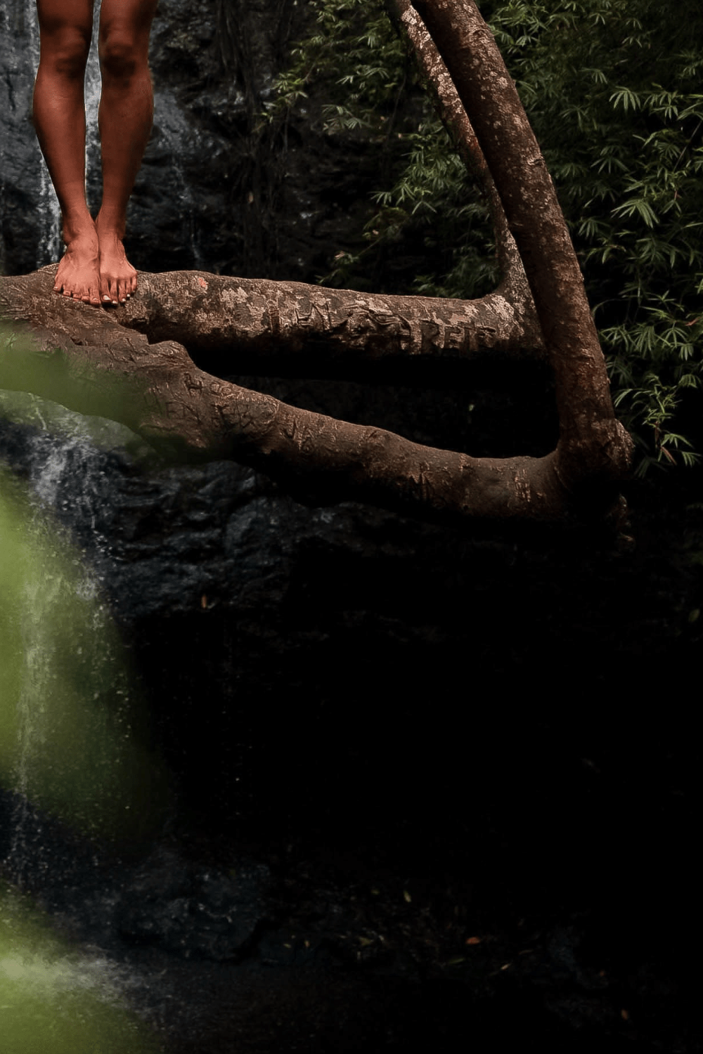 Nature Therapy