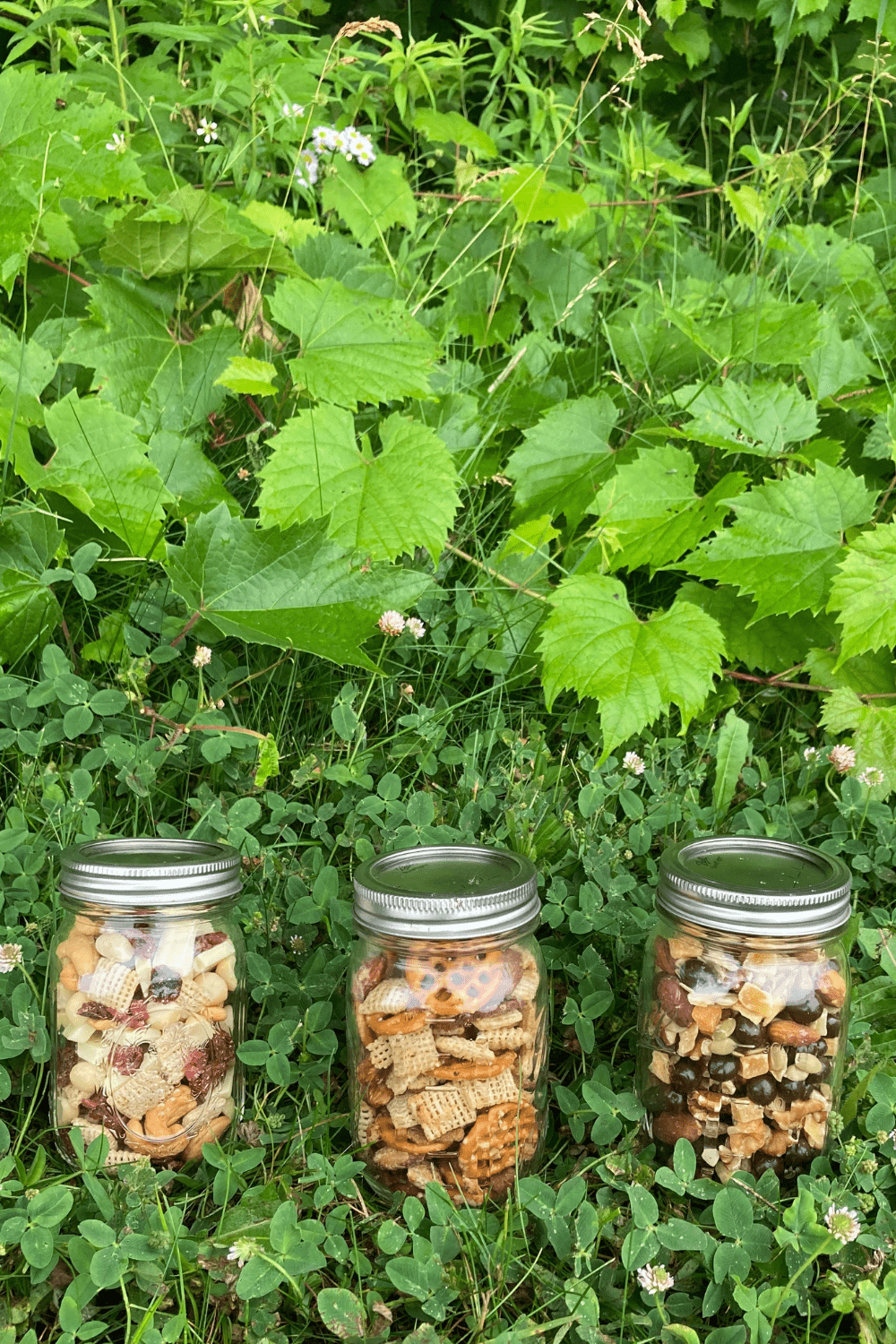 Trail Mix Recipes for Hiking