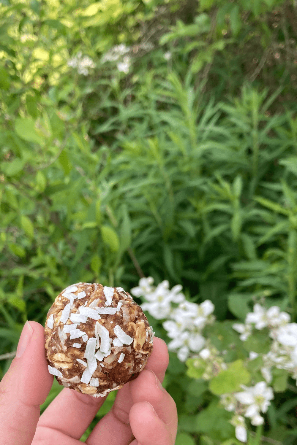 Protein Bites | Easy Chocolate Almond Hiking Snack