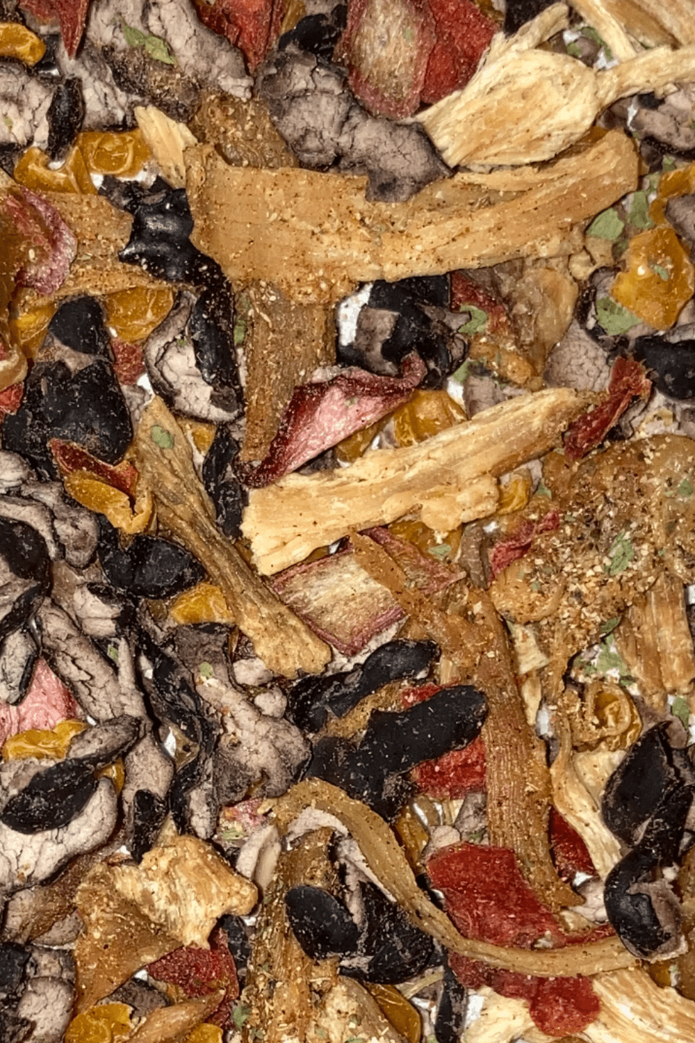 Dehydrator Recipes | Chicken Tortilla Soup