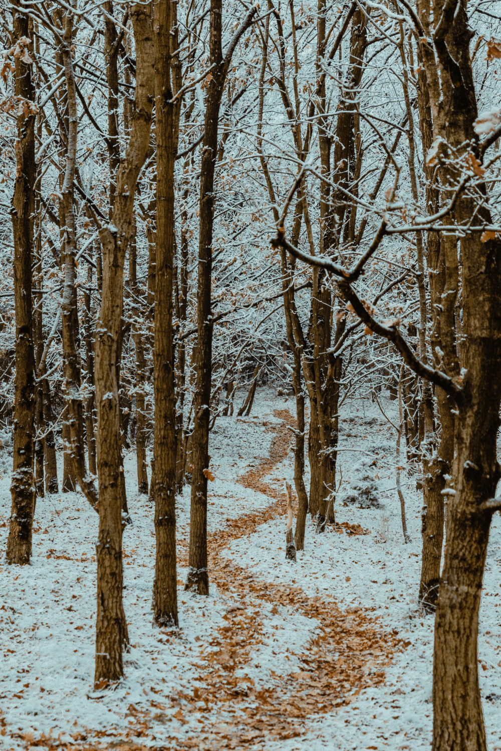 Ways to Fight Seasonal Depression