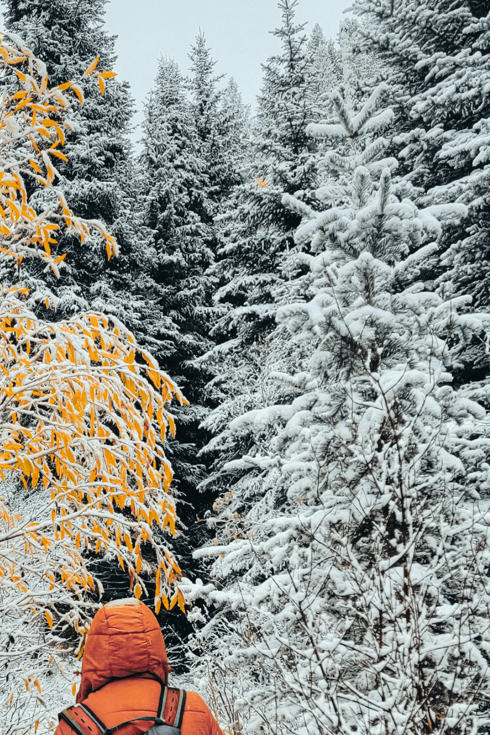 Winter Camping | How to Stay Warm